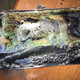 Imagen: Shawn Minter / The Verge